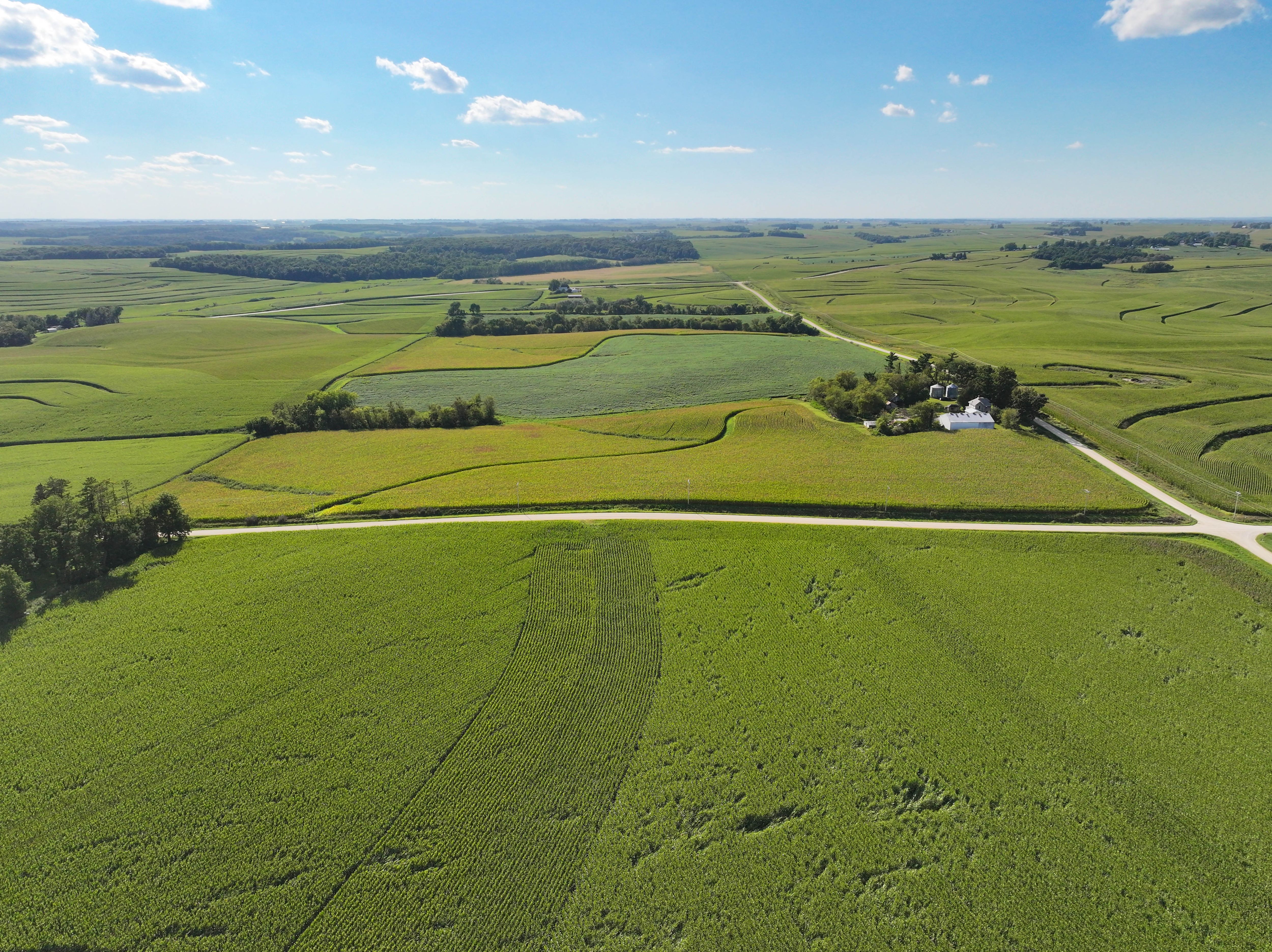 Listing Photo: 10-Allamakee County IA Farmland Auction